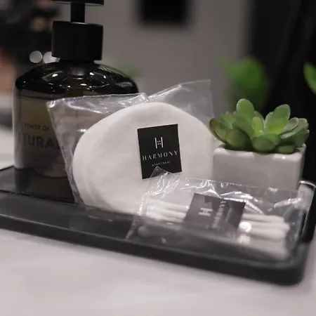 Διαμέρισμα Harmony Arandjelovac