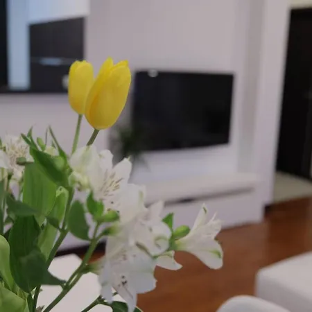 Harmony * Arandjelovac